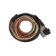Haltech Haltech Nexus IO16 Universal Wire in Harness 2.6m (8.5`) | race-shop.sk