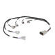 Haltech Haltech i6 Sumitomo (Denso) Primary Injector Harness | race-shop.sk