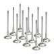Časti motora SUPERTECH Valve Kit Exhaust BMW S50B32 31.00mm (+.40) Incone | race-shop.sk