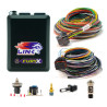 G4X FuryX Wire-In Bundle - ECU + Looms + Sensors