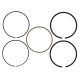 Časti motora Wiseco Piston Ring Set 102.49mm (Autom. 1 Set For 1 Piston) | race-shop.sk