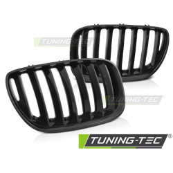 TUNING-TEC maska chladiča pre BMW X5 E53 LCI 04-06, lesklá čierna