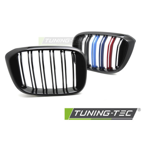 Body kit a vizuálne doplnky TUNING-TEC maska chladiča (Sport M-Look Double Bar) pre BMW X3 G01 17-21 / X4 G02 18-21, čierna | race-shop.sk