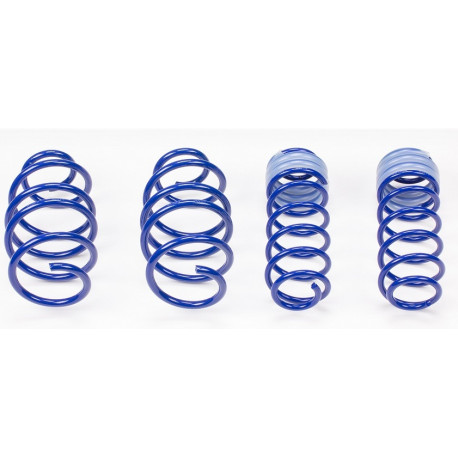 AP sportfahrwerke Športové pružiny AP pre AUDI A3, 08/12-, 40/40mm | race-shop.sk