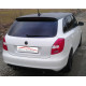 Výfukové systémy Friedrich Motorsport Gr.A Výfuk Skoda Fabia II RS (5J) - s certifikátom ECE (982502T-X) | race-shop.sk