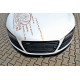 Body kit a vizuálne doplnky Predný splitter Audi R8 Mk.1 | race-shop.sk