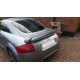 Body kit a vizuálne doplnky Zadný spojler Audi TT 8N | race-shop.sk