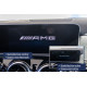 OBD doplnky/sady na dovybavenie Kódovací kľúč pre aktiváciu AMG štart loga pre Mercedes-Benz Sprinter W910 | race-shop.sk